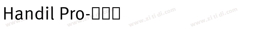 Handil Pro字体转换